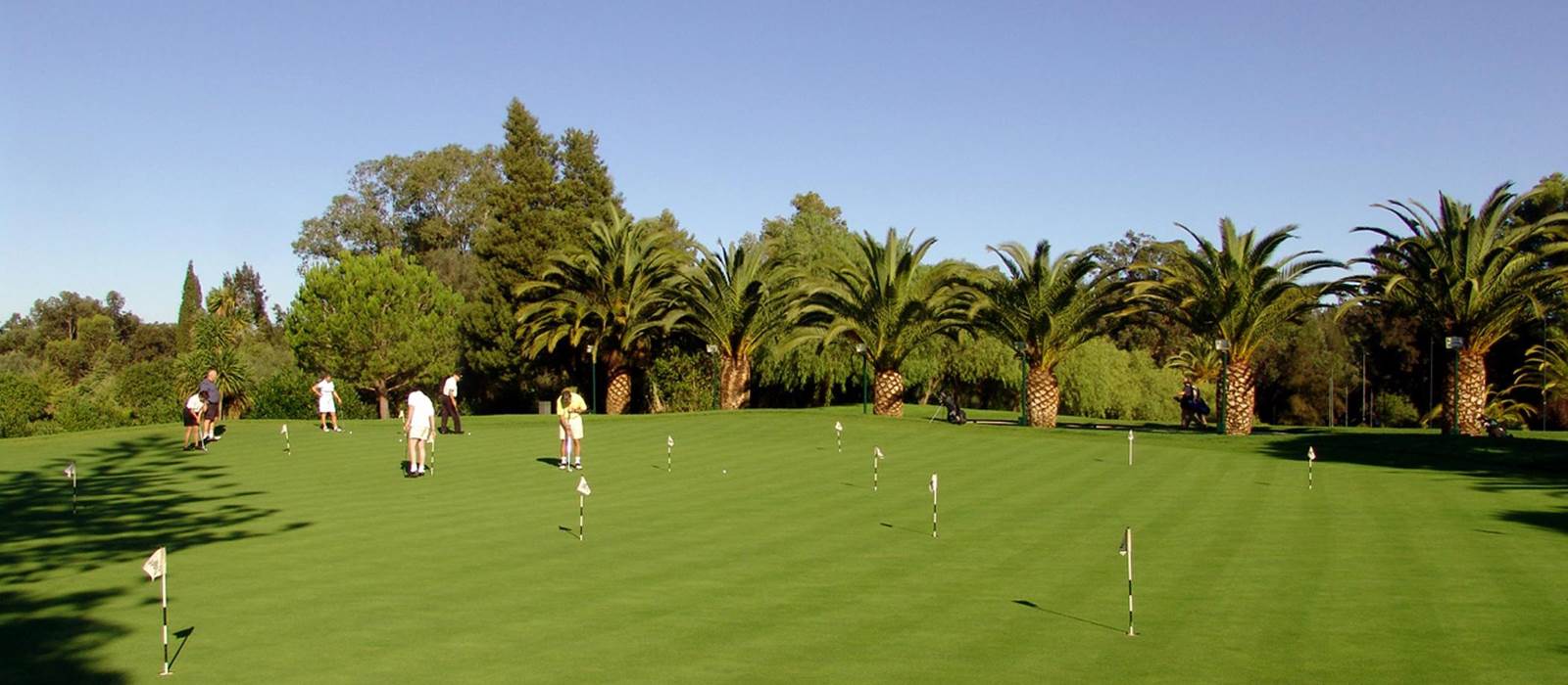 Putting Green at Penina Hotel and Golf Resort