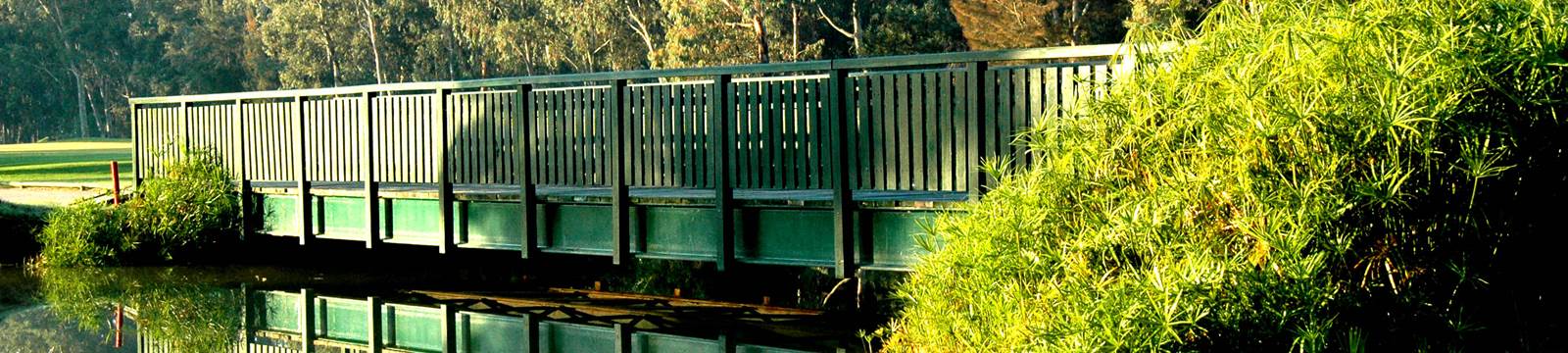 Bridge and trees on the Sir Henry Cotton Championship Course at Penina Hotel and Golf Resort