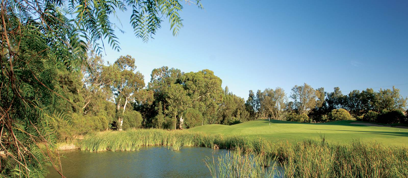 Water on the Sir Henry Cotton Championship Course at Penina Hotel and Golf Resort