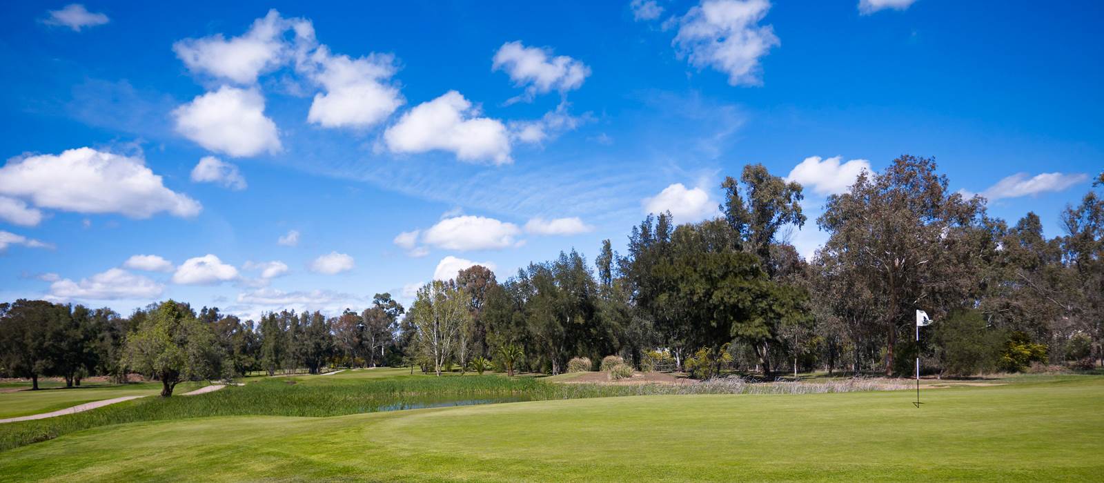 Hole 5 on the Academy Course at Penina Hotel and Golf Resort