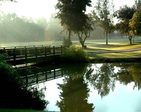 Reflections on the Sir Henry Cotton Championship Course at Penina Hotel and Golf Resort