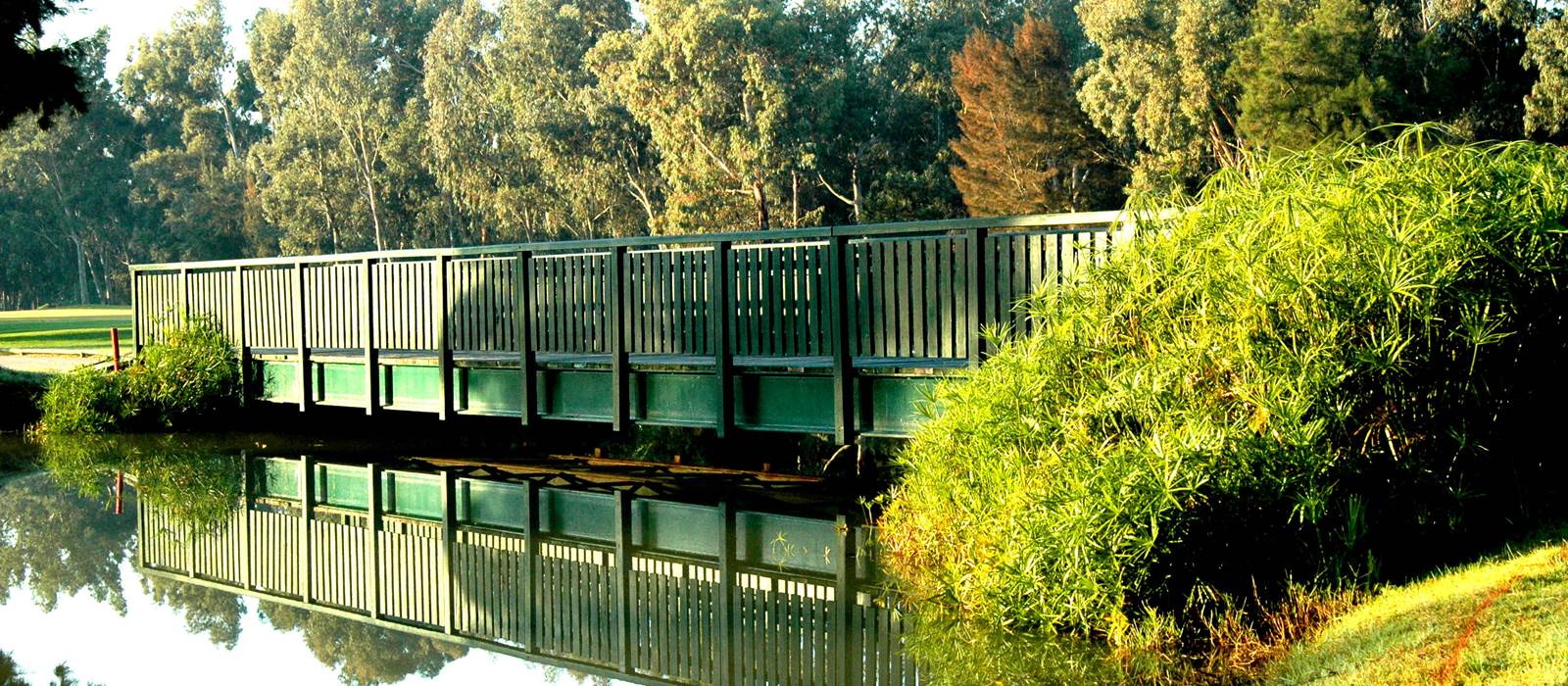 Bridge and trees on the Sir Henry Cotton Championship Course at Penina Hotel and Golf Resort