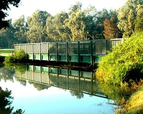 Bridge and trees on the Sir Henry Cotton Championship Course at Penina Hotel and Golf Resort