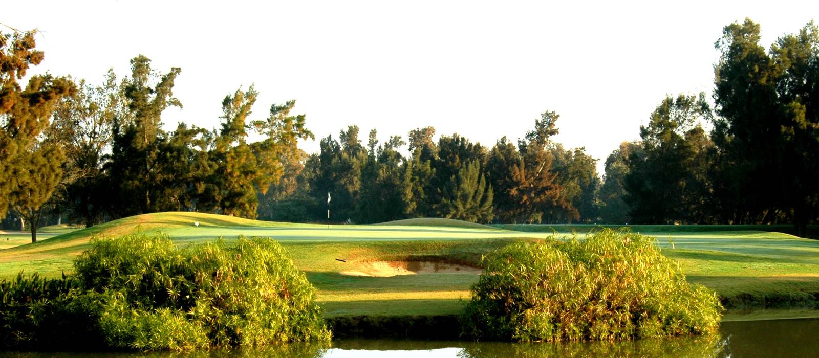 Greenery on the Sir Henry Cotton Championship Course at Penina Hotel and Golf Resort