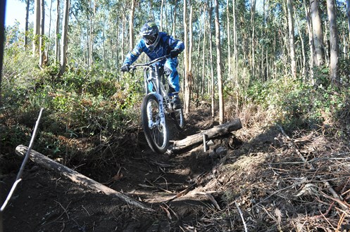 Downhill Monchique 11393649475